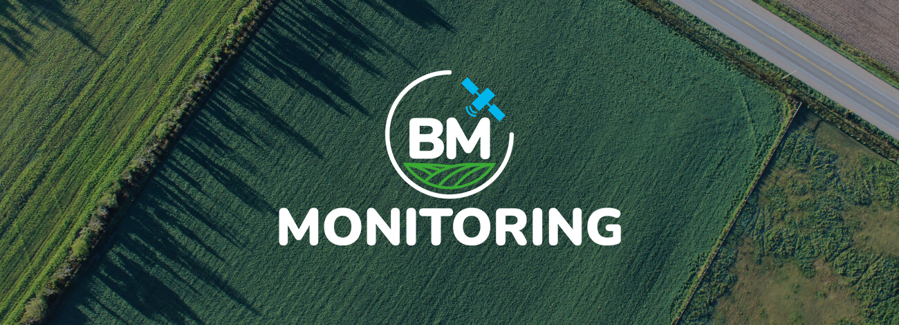 BM Monitoring